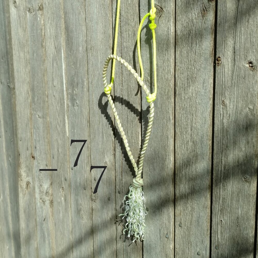 Bosalita Lariat Rope Western Pony Training Cavesson/Cowboy Caveson Noseband